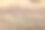 秋天的小树没有叶子特写视图与选择性聚焦前景图片下载