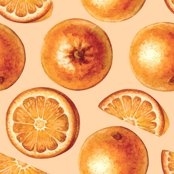 橘色无缝图案。明亮的水果收藏的手绘插图。图片下载