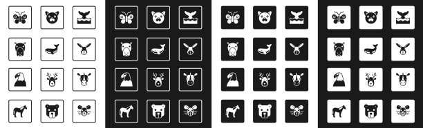 在海浪河马或海中设置鲸鱼尾巴图片下载