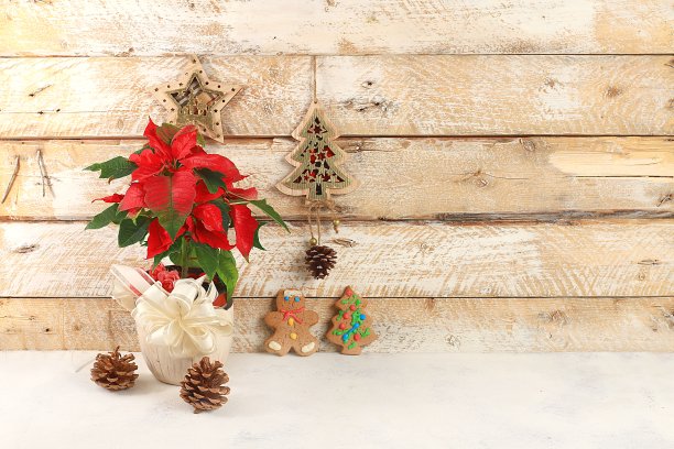 空的乡村餐桌，一品红，饼干和自制的木制装饰，横幅设计，背景。圣诞节和新年的设计模型图片下载