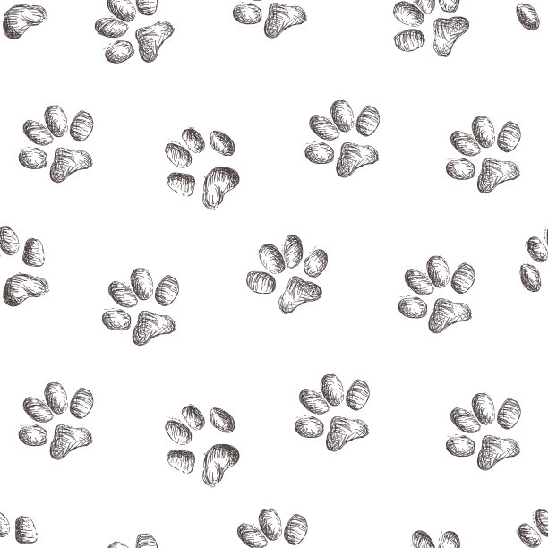 动物的脚印、足迹、足迹。动物的踪迹。典型脚印无缝花纹图片下载