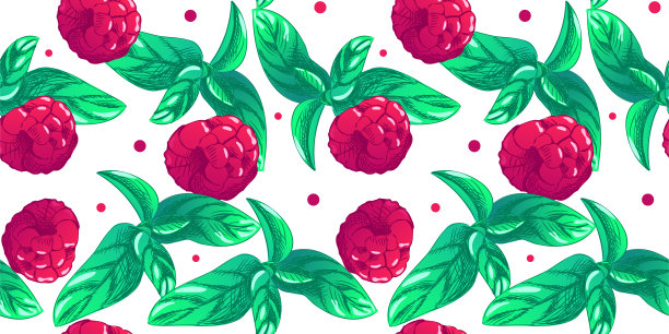 无缝图案的树莓和薄荷叶在明亮的颜色。用于广告、包装或出版配方的插图。水果烹饪插图图片下载