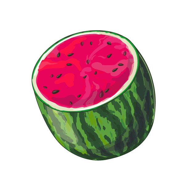 半个带籽的成熟大西瓜。水果。大自然。股票矢量插图孤立的白色背景。图片下载