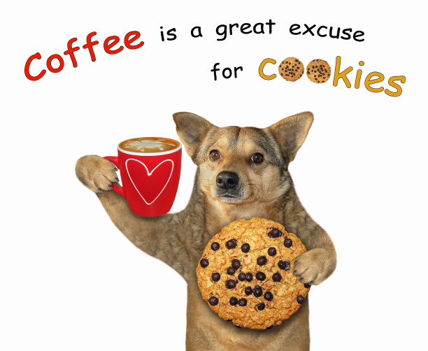 狗拿着饼干和咖啡图片下载