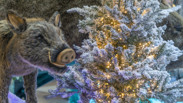 圣诞装饰有玩具野猪、小圣诞树和彩灯花环。圣诞和新年快乐的概念。图片下载