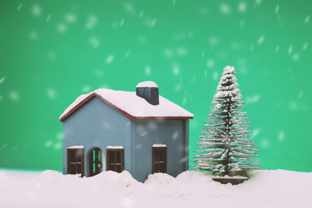 模型房子和一棵有雪的松树图片下载