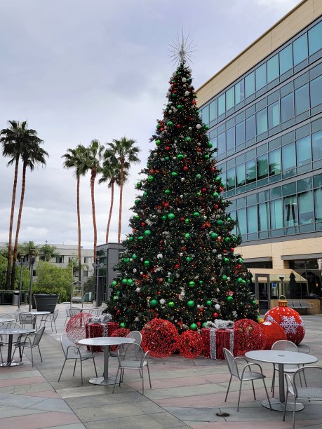 这是圣诞节。图片下载