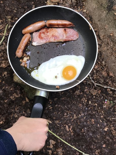 树林里的爱尔兰早餐图片下载