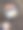 树林里的爱尔兰早餐图片下载