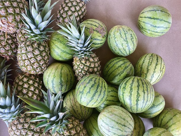 夏季水果:菠萝和西瓜图片下载