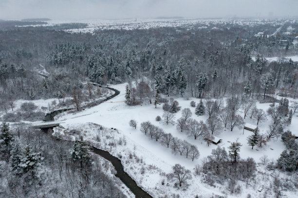 冬天的博伊德保护公园，伍德布里奇，加拿大图片下载
