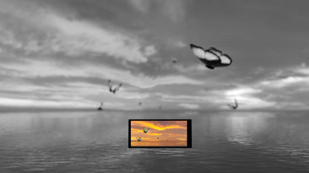 我们创造了世界的色彩图片下载