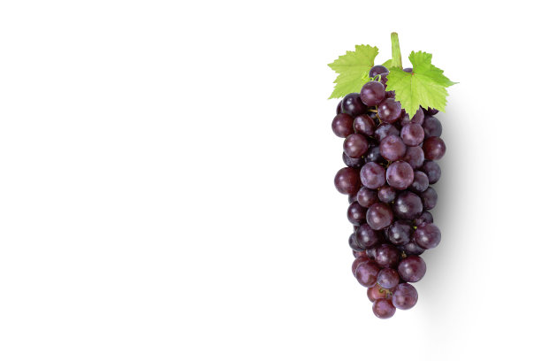 红葡萄图片下载