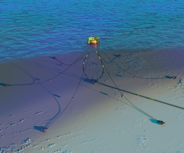 SPM浮标。3 d渲染图片下载