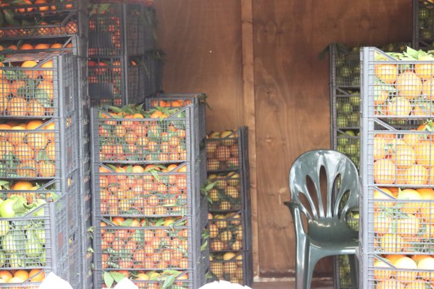 储存柑橘盒，桔子和橘子图片下载