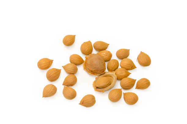 杏子stoneі和去壳的杏子在白色的背景上图片下载