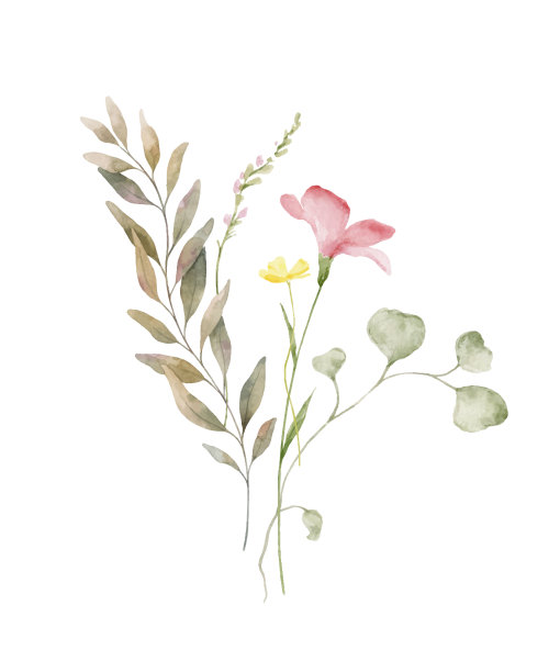 水彩矢量花束的绿色的树枝和草甸花孤立在一个白色的背景。鲜花插图贺卡，婚礼请柬和墙壁艺术装饰。图片下载