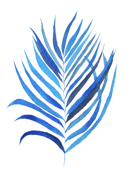 水彩热带蓝叶，叶孤立在白色背景。花纹理的手绘插图。明亮的夏季设计适合横幅，装饰，印刷在纸上，纺织品上。图片下载