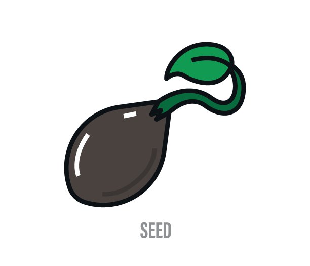 植物生长图标。种子平面向量。图片下载