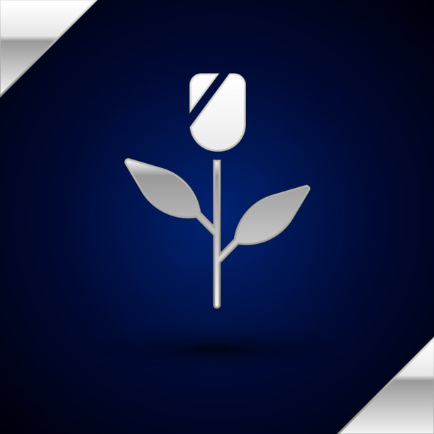 银色花玫瑰图标孤立在深蓝色上图片下载