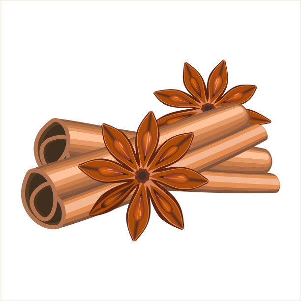 圣诞热葡萄酒的香料。圣诞香味肉桂和茴香的香料设置孤立的白色背景。矢量图图片下载