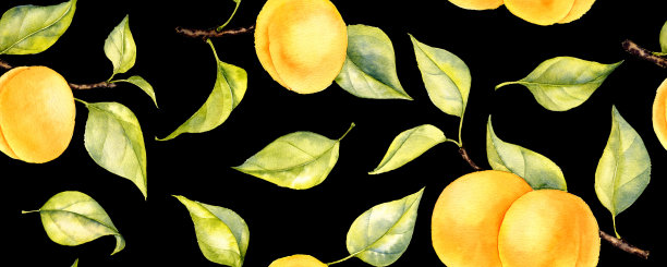 无缝图案与水彩画杏子图片下载