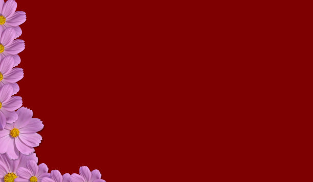 粉红色的紫色背景，使用文字设计和产品图片下载