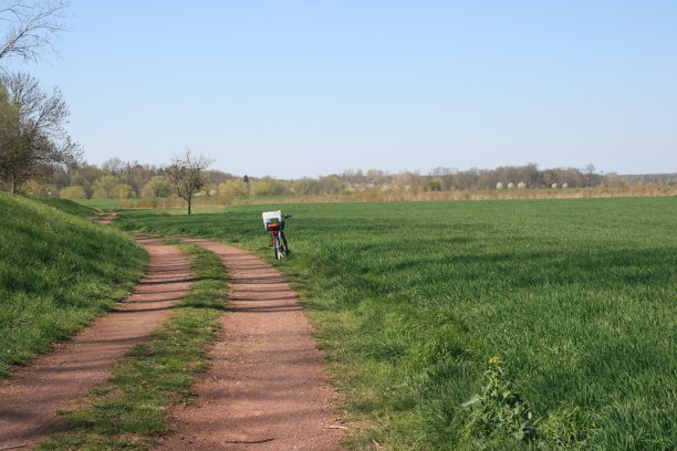 长乡间小路图片下载