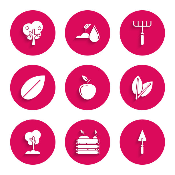 集苹果，水果和蔬菜木箱，花园铲子铲，树叶，树在地上，耙子和苹果图标。向量图片下载