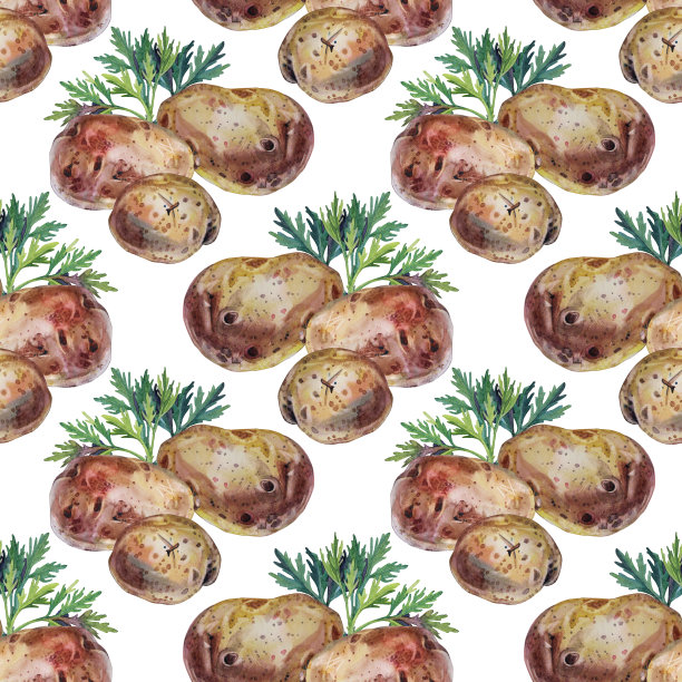 无缝图案水彩土豆和绿色植物莳萝在白色背景上。手画蔬菜根做薯条，薯条。秋收粮食以淀粉为保健。烹饪书厨房的艺术图片下载