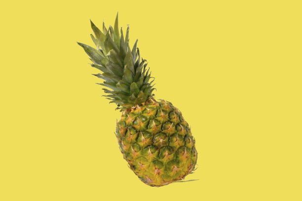 菠萝果实孤立在柔和的背景上。创意布局的菠萝。飞行的食物。食品的概念图片下载