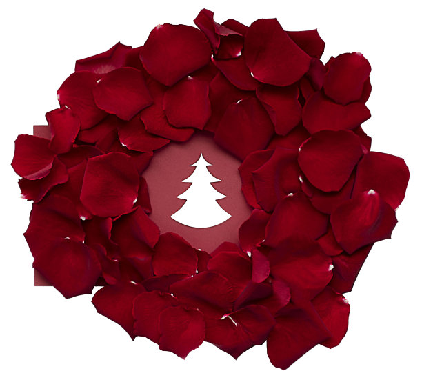 勃艮第玫瑰花瓣周围的圣诞贺卡与树的图案图片下载