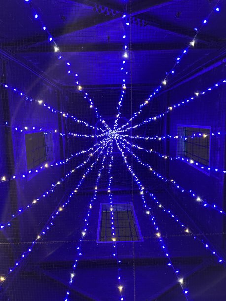 所有的灯图片下载