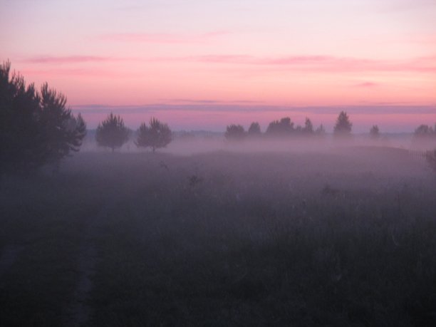多雾的早晨图片下载