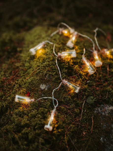 森林中美丽的圣诞树串灯氛围图片下载