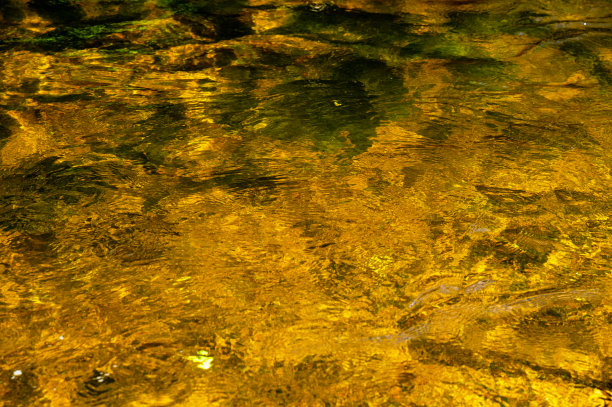 金碧辉煌的水在山河的底部。图片下载