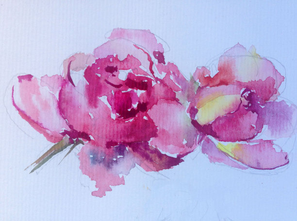 抽象鲜艳的装饰背景。花的图案手工制作。美丽温柔浪漫的春天单玫瑰花图片下载