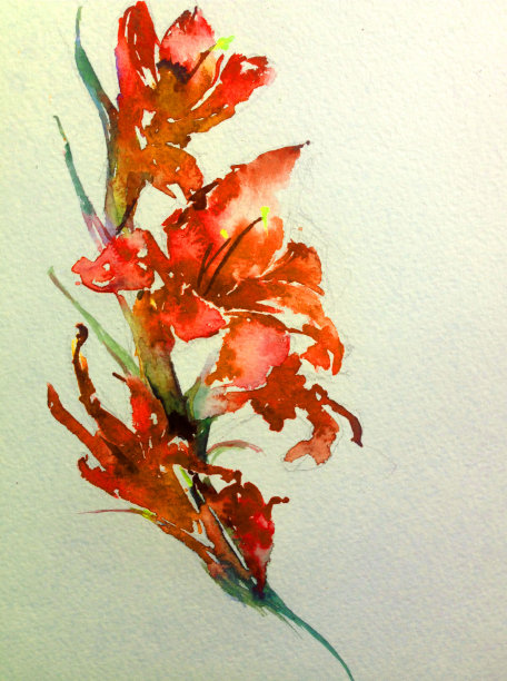 抽象鲜艳的装饰背景。花的图案手工制作。美丽温柔浪漫的春天单玫瑰花图片下载