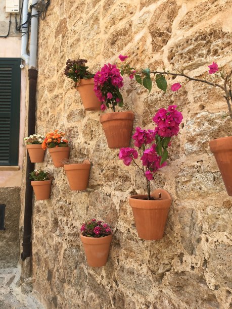 墙上的罐子图片下载