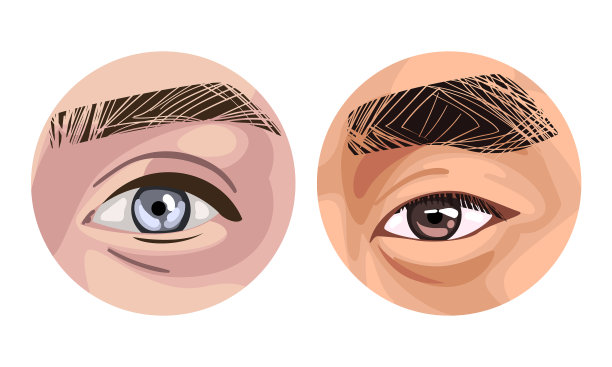 人类的各种颜色的眼睛作为感觉器官用图片下载