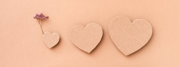 家庭的概念。三个纸板心形——米色背景上的父母和一个带花的孩子。前视图。网络横幅图片下载