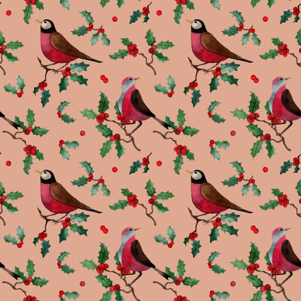 水彩无缝图案，红腹灰雀，知更鸟，冬季，圣诞背景，图片下载