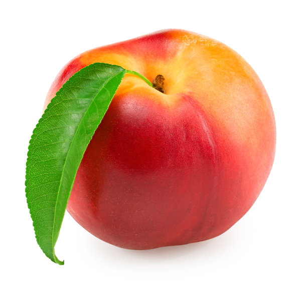 油桃，绿叶孤立，白色背景。剪切路径图片下载