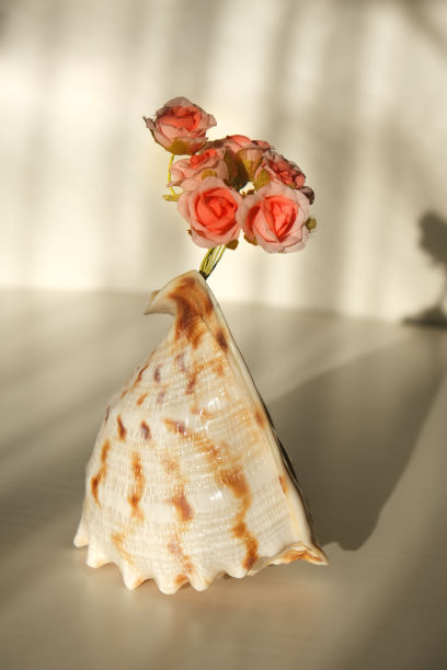 客厅的细节。海滩内部装饰。海贝壳和人造花图片下载