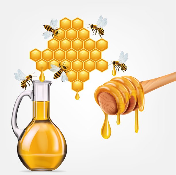 蜜蜂带蜂房，蜜蜂带昆虫，蜂蜜罐，蜂蜜滴，糖浆吐司。逼真的3d彩色光泽矢量插图孤立在白色背景上。有机食品设计理念图片下载