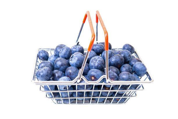 购物篮装满了新鲜的蓝莓在白色图片下载