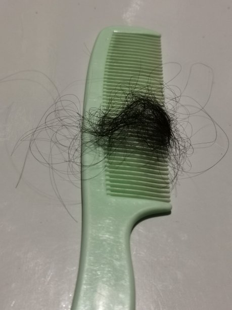 头发从梳子上脱落，有些还附着在梳子上图片下载
