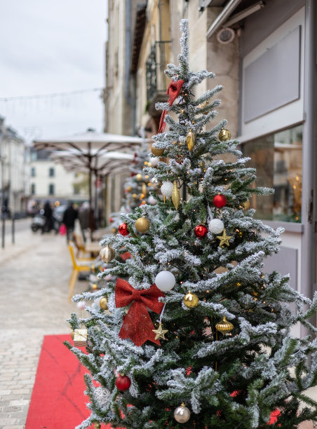 在咖啡馆附近的街道上装饰圣诞树图片下载