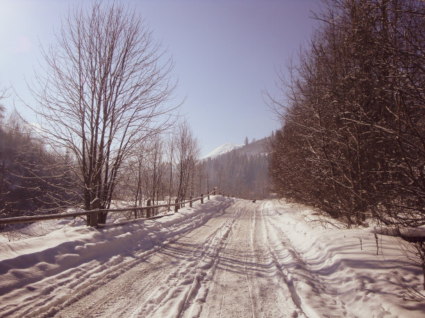 冬天的风景图片下载