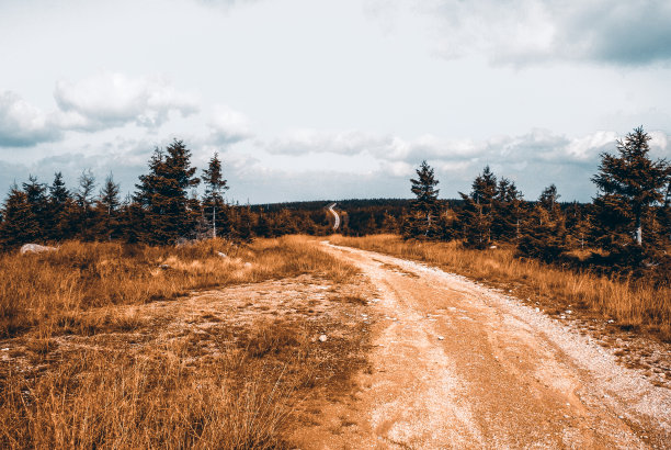 波兰，吉泽拉山脉，草地和森林之间的乡间小路图片下载